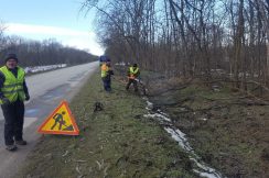 Дорожники проводят обрезку деревьев и кустарников на обочинах региональных дорогах Кабардино-Балкарской Республики
